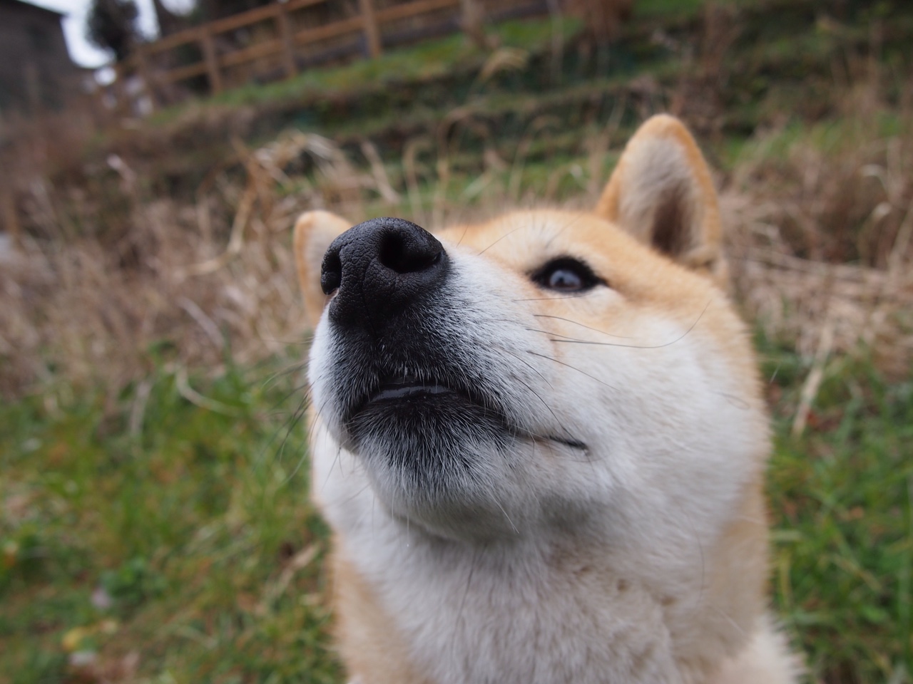 开云电竞-“超强篮下防守：联盟中最具压迫感的防线”，篮下如何对抗