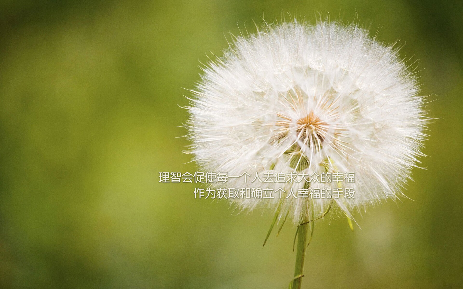 开云体育下载官网-《直播平台新功能上线：提升观赛体验》，直播看比赛的平台