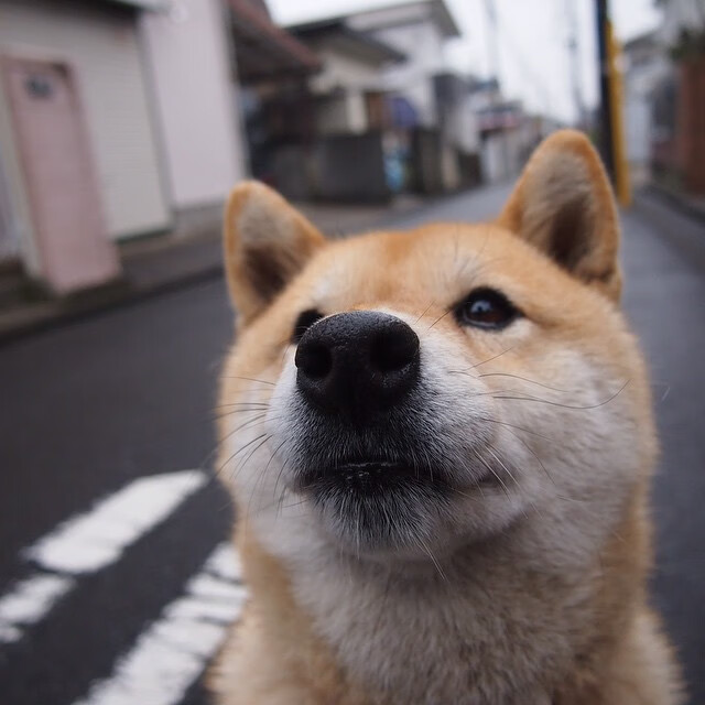 kaiyun开云·官方网站-【裁判讲堂】罚分判决中的细节与争议分析，判罚金的标准