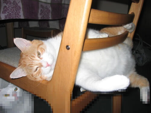 开云体育登录网站入口-九州体育测速_ 意甲豪门搏杀，争夺连续霸主宝座，九州体育赛事直播