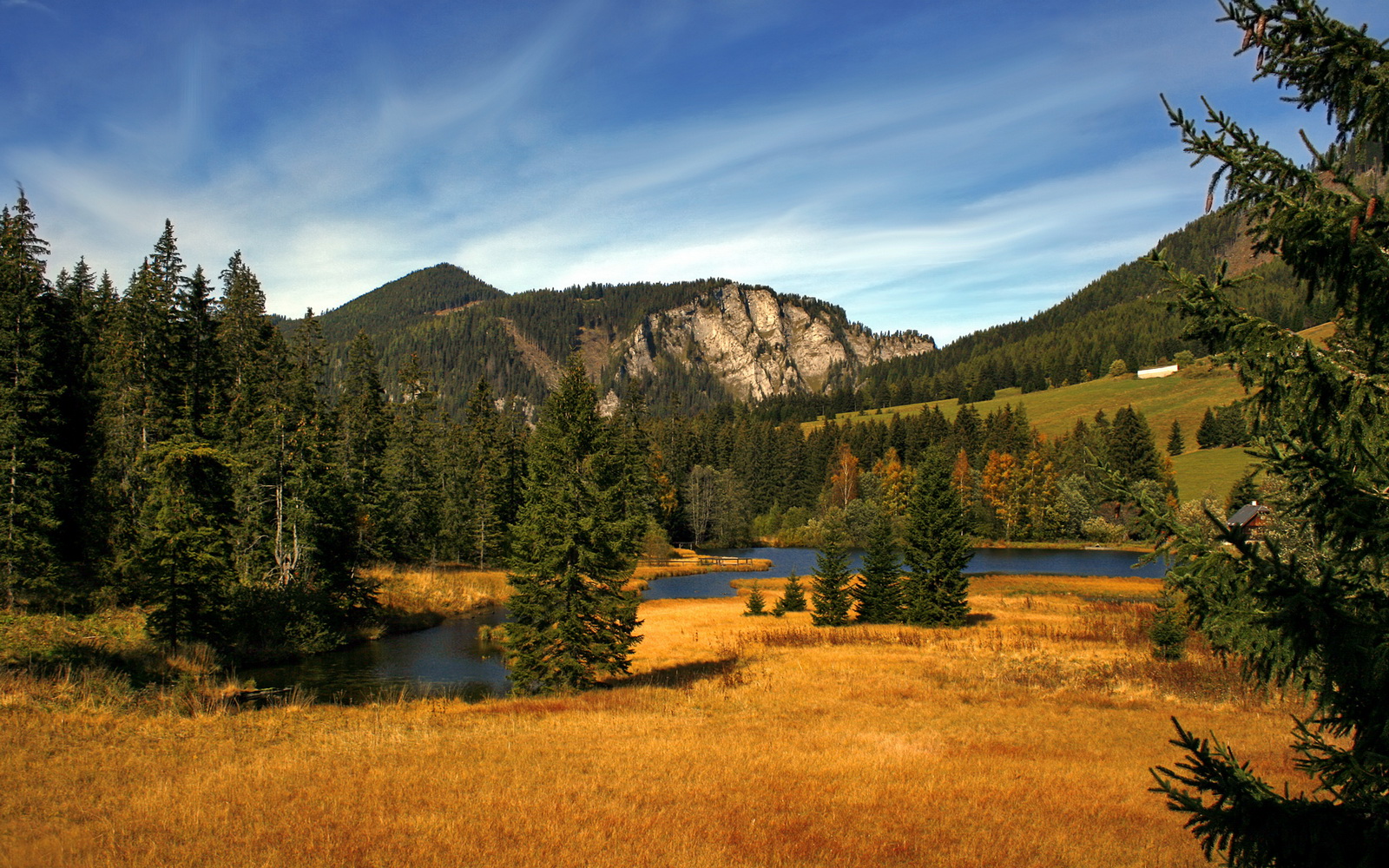 开云真人体育娱乐-北京市利用“鸟巢”、“水立方”等奥运场馆资源，推动群众体育发展