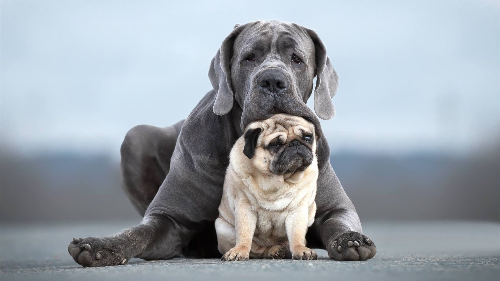 kaiyun 开云体育-库里：从普通少年到MVP的逆袭之路！，库里jswim